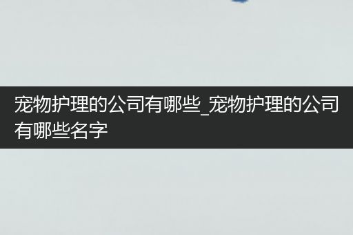 宠物护理的公司有哪些_宠物护理的公司有哪些名字