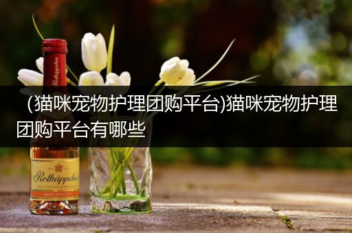 （猫咪宠物护理团购平台)猫咪宠物护理团购平台有哪些