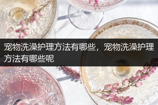 宠物洗澡护理方法有哪些，宠物洗澡护理方法有哪些呢