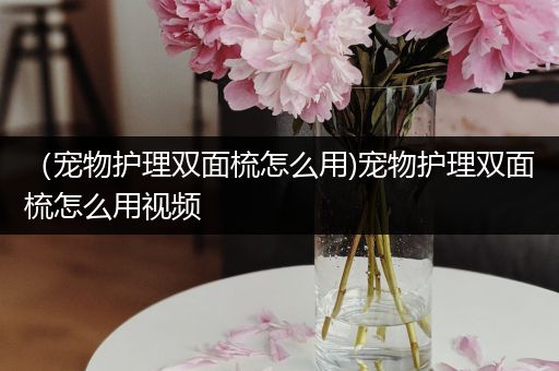 （宠物护理双面梳怎么用)宠物护理双面梳怎么用视频