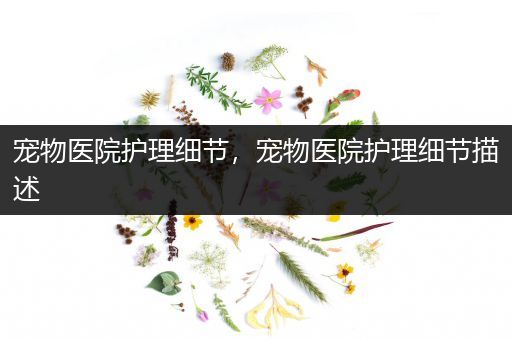 宠物医院护理细节，宠物医院护理细节描述