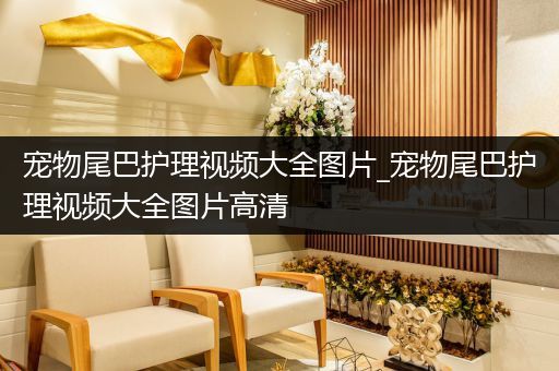 宠物尾巴护理视频大全图片_宠物尾巴护理视频大全图片高清