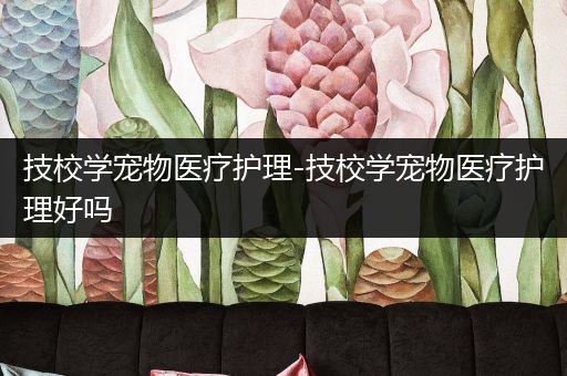 技校学宠物医疗护理-技校学宠物医疗护理好吗