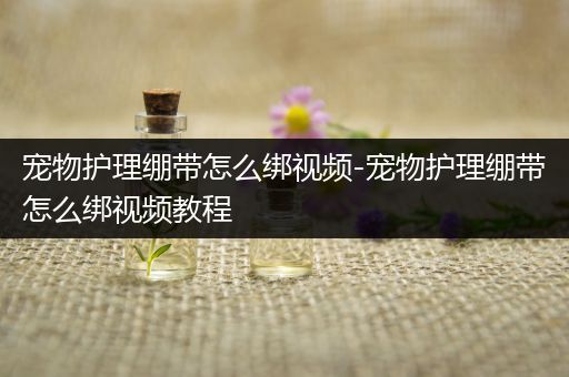 宠物护理绷带怎么绑视频-宠物护理绷带怎么绑视频教程