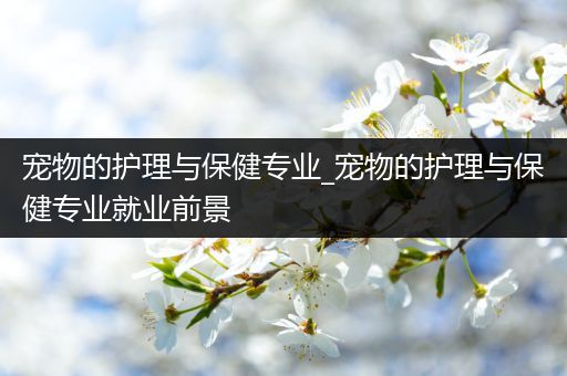 宠物的护理与保健专业_宠物的护理与保健专业就业前景