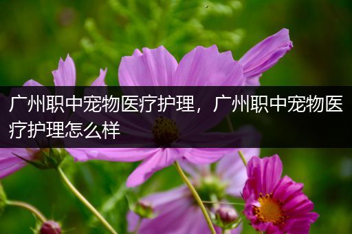 广州职中宠物医疗护理，广州职中宠物医疗护理怎么样