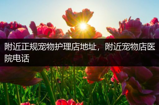 附近正规宠物护理店地址，附近宠物店医院电话