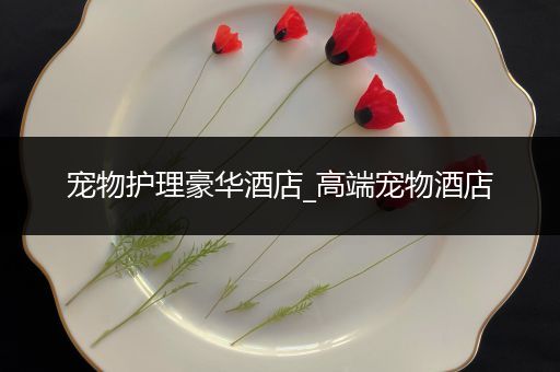 宠物护理豪华酒店_高端宠物酒店