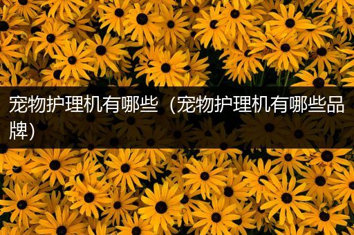 宠物护理机有哪些（宠物护理机有哪些品牌）