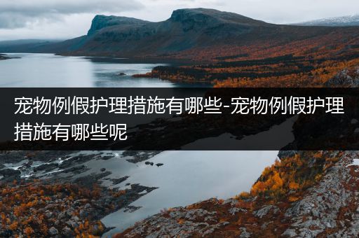 宠物例假护理措施有哪些-宠物例假护理措施有哪些呢