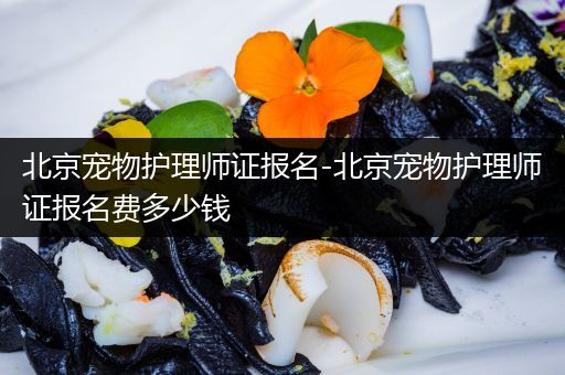 北京宠物护理师证报名-北京宠物护理师证报名费多少钱