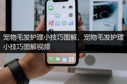 宠物毛发护理小技巧图解，宠物毛发护理小技巧图解视频