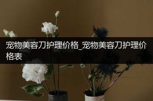 宠物美容刀护理价格_宠物美容刀护理价格表