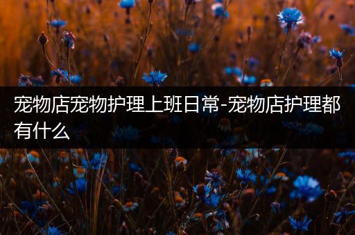 宠物店宠物护理上班日常-宠物店护理都有什么