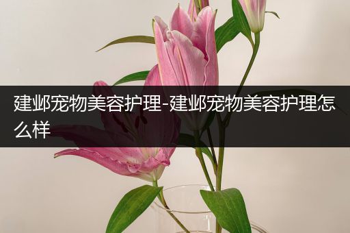 建邺宠物美容护理-建邺宠物美容护理怎么样