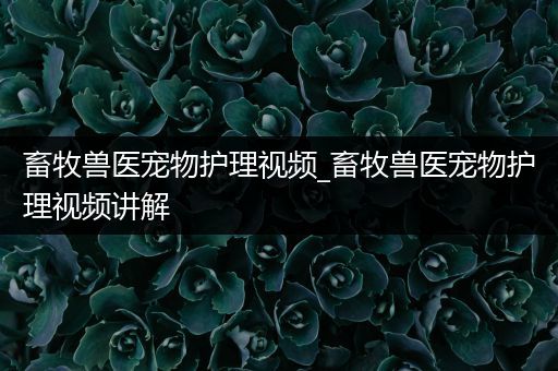 畜牧兽医宠物护理视频_畜牧兽医宠物护理视频讲解