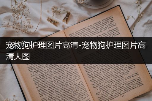 宠物狗护理图片高清-宠物狗护理图片高清大图