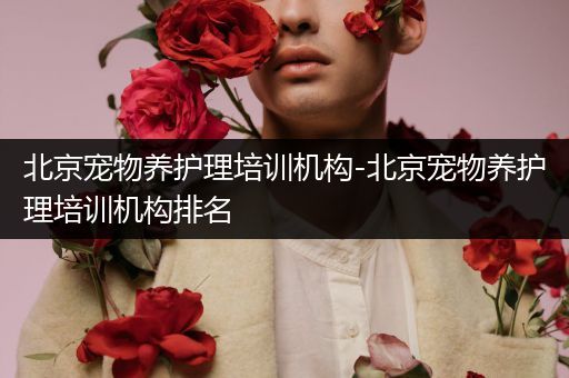 北京宠物养护理培训机构-北京宠物养护理培训机构排名