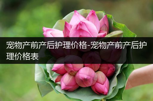 宠物产前产后护理价格-宠物产前产后护理价格表