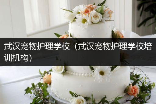 武汉宠物护理学校（武汉宠物护理学校培训机构）