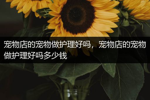 宠物店的宠物做护理好吗，宠物店的宠物做护理好吗多少钱