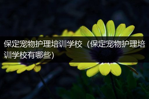 保定宠物护理培训学校（保定宠物护理培训学校有哪些）