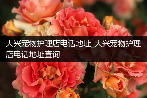 大兴宠物护理店电话地址_大兴宠物护理店电话地址查询