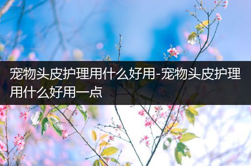 宠物头皮护理用什么好用-宠物头皮护理用什么好用一点