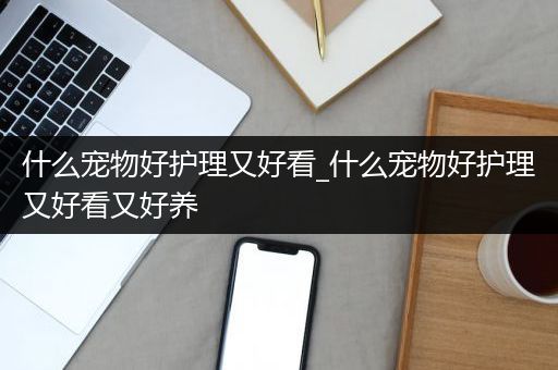 什么宠物好护理又好看_什么宠物好护理又好看又好养