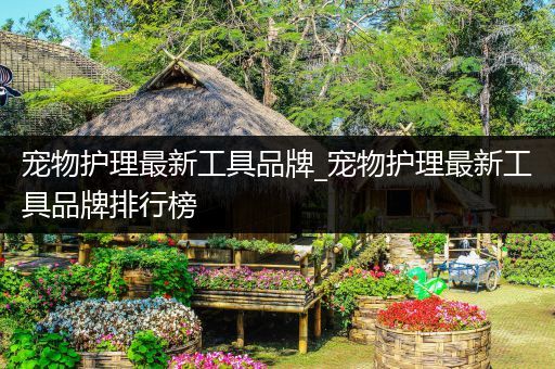 宠物护理最新工具品牌_宠物护理最新工具品牌排行榜