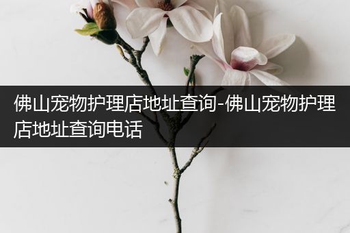 佛山宠物护理店地址查询-佛山宠物护理店地址查询电话