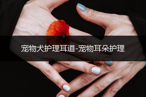 宠物犬护理耳道-宠物耳朵护理