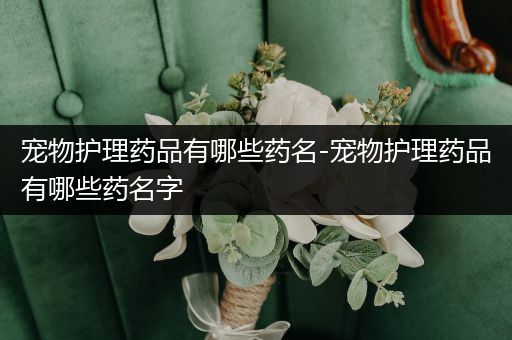 宠物护理药品有哪些药名-宠物护理药品有哪些药名字