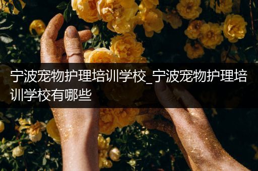 宁波宠物护理培训学校_宁波宠物护理培训学校有哪些