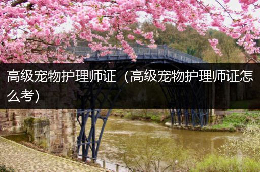 高级宠物护理师证（高级宠物护理师证怎么考）
