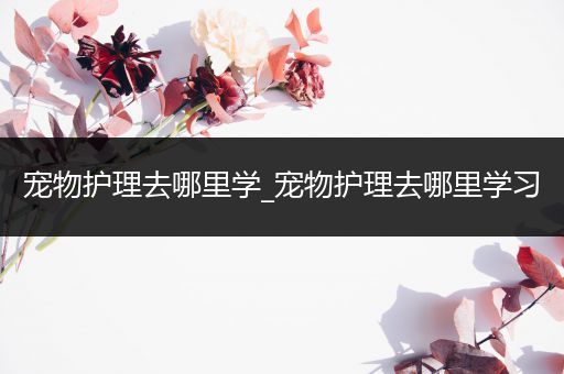 宠物护理去哪里学_宠物护理去哪里学习