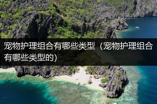 宠物护理组合有哪些类型（宠物护理组合有哪些类型的）