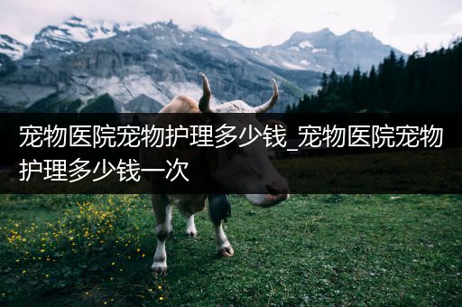 宠物医院宠物护理多少钱_宠物医院宠物护理多少钱一次