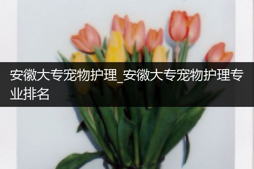 安徽大专宠物护理_安徽大专宠物护理专业排名