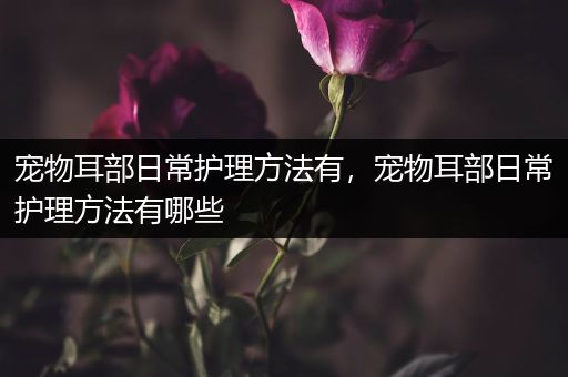 宠物耳部日常护理方法有，宠物耳部日常护理方法有哪些