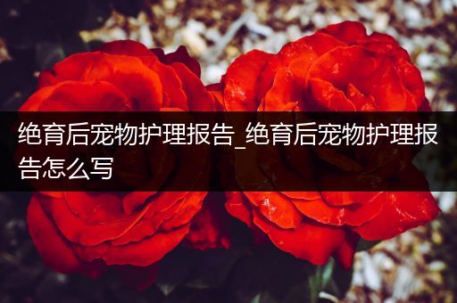 绝育后宠物护理报告_绝育后宠物护理报告怎么写