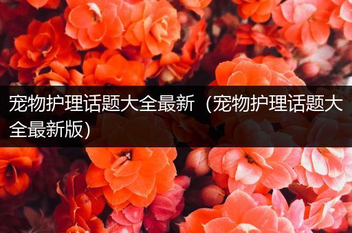 宠物护理话题大全最新（宠物护理话题大全最新版）