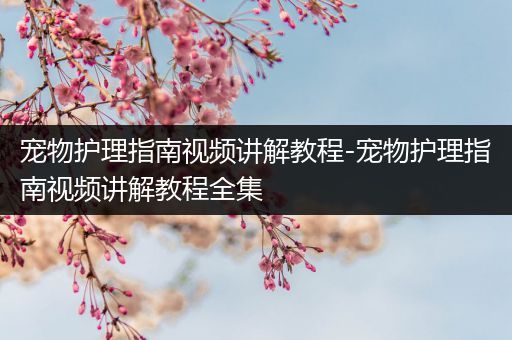 宠物护理指南视频讲解教程-宠物护理指南视频讲解教程全集