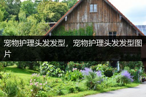 宠物护理头发发型，宠物护理头发发型图片