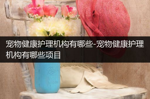 宠物健康护理机构有哪些-宠物健康护理机构有哪些项目