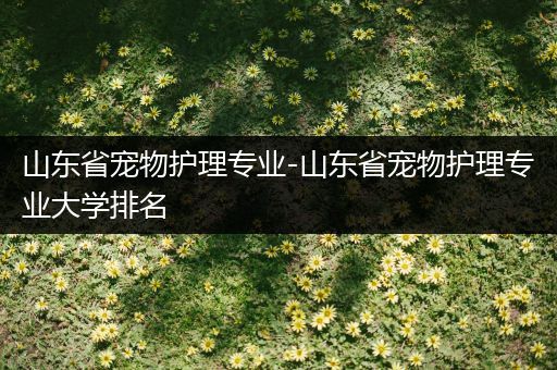 山东省宠物护理专业-山东省宠物护理专业大学排名
