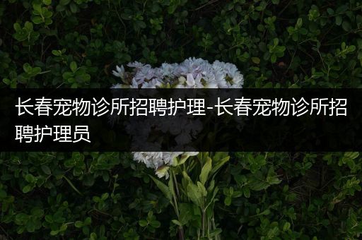 长春宠物诊所招聘护理-长春宠物诊所招聘护理员