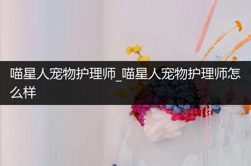 喵星人宠物护理师_喵星人宠物护理师怎么样