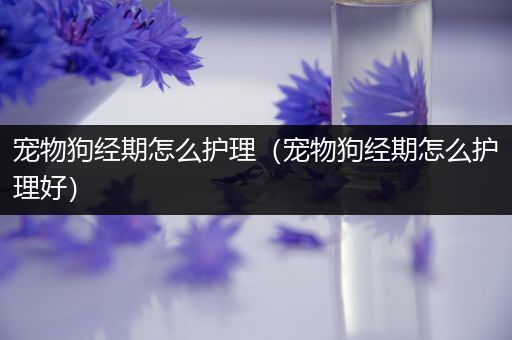宠物狗经期怎么护理（宠物狗经期怎么护理好）
