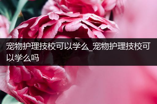 宠物护理技校可以学么_宠物护理技校可以学么吗